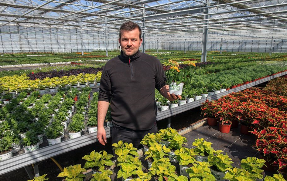 Geschichte Gartenbau Rülcker