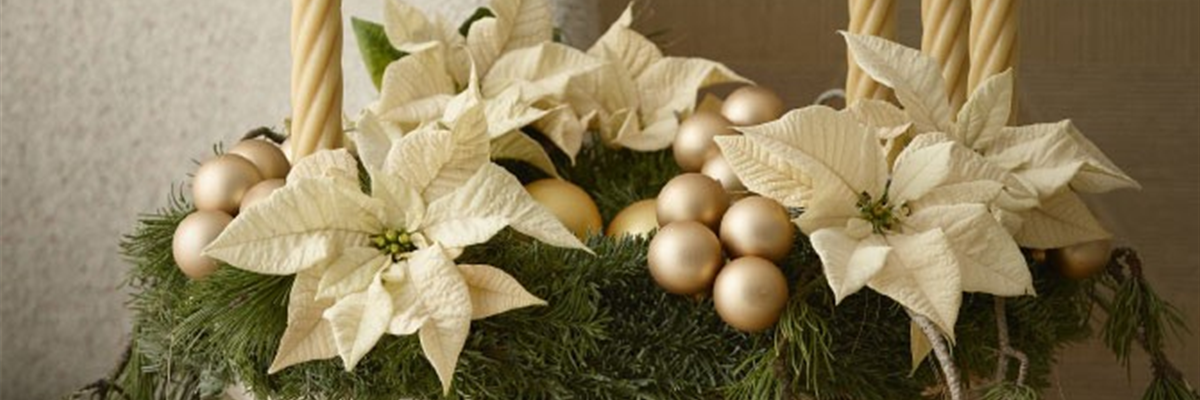 WILLKOMMEN IM FESTZAUBER!