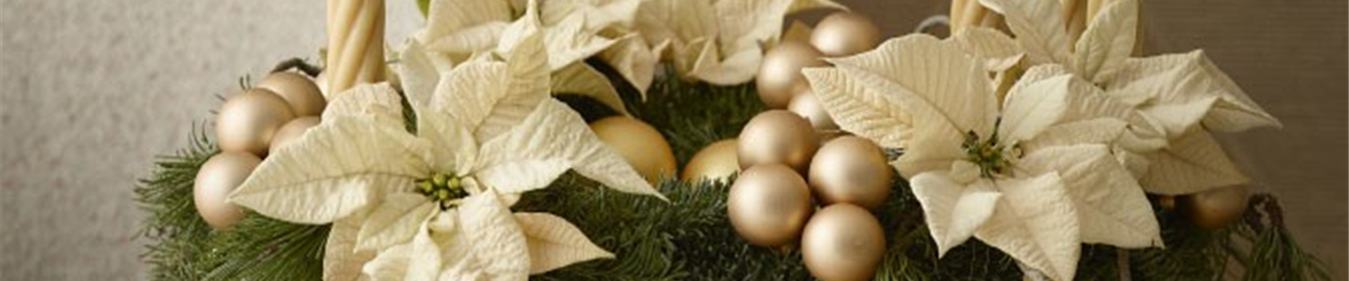 WILLKOMMEN IM FESTZAUBER!