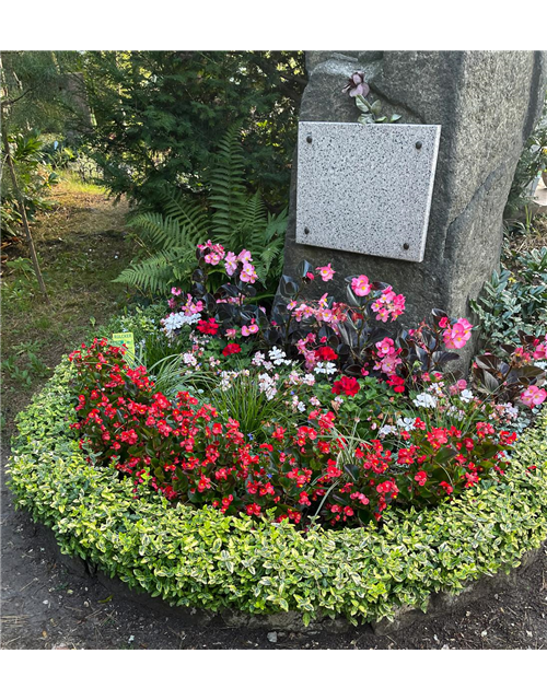 Besonderes Bepflanzungspaket Besonderes Bepflanzungspaket