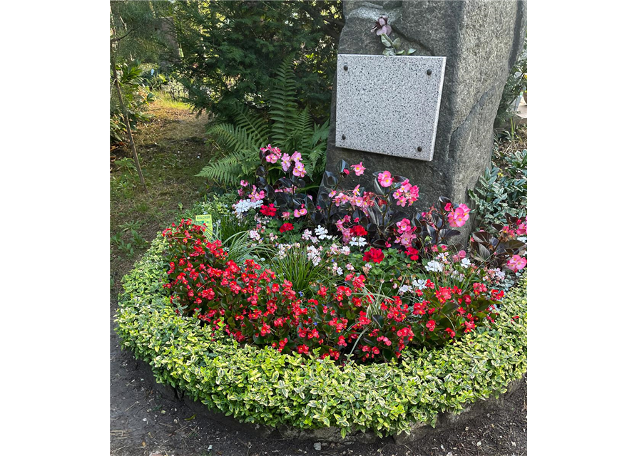 Besonderes Bepflanzungspaket Besonderes Bepflanzungspaket