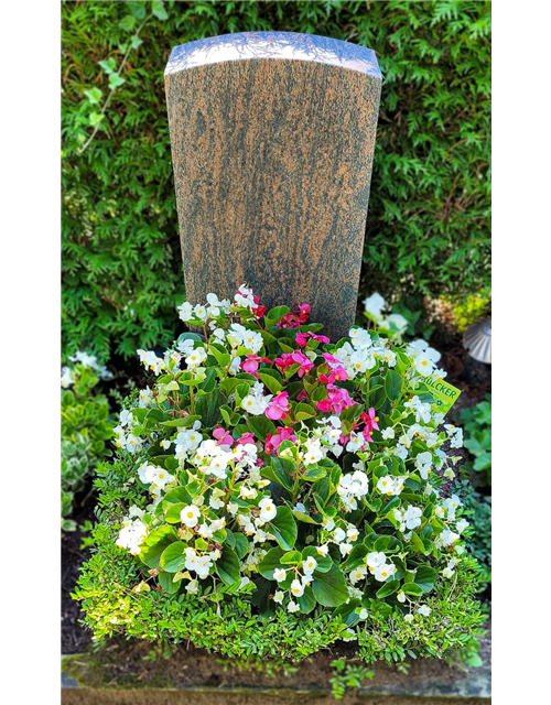 Besonderes Bepflanzungspaket Besonderes Bepflanzungspaket