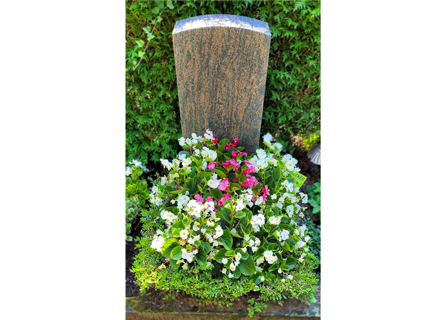 Besonderes Bepflanzungspaket Besonderes Bepflanzungspaket