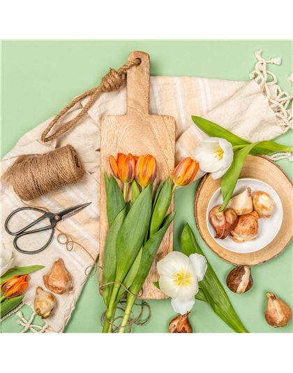 14.03. Frühlingsfest 