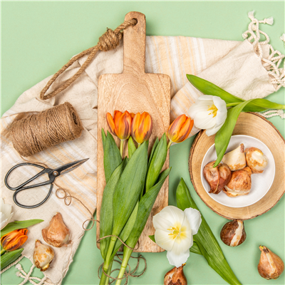 14.03. Frühlingsfest 