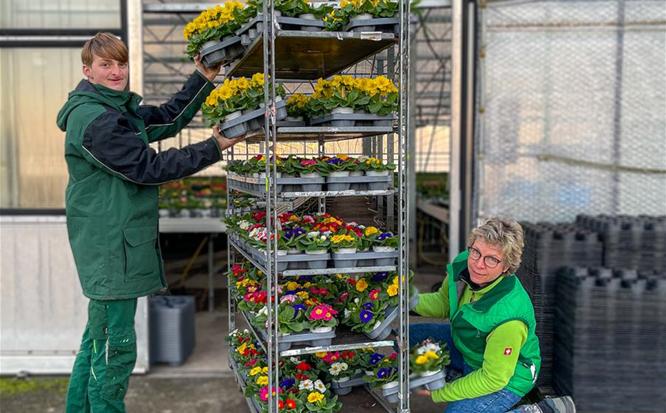 WErde Zierpflanzengärtner*in - Bereich Gärtnerei WErde Zierpflanzengärtner*in - Bereich Gärtnerei
