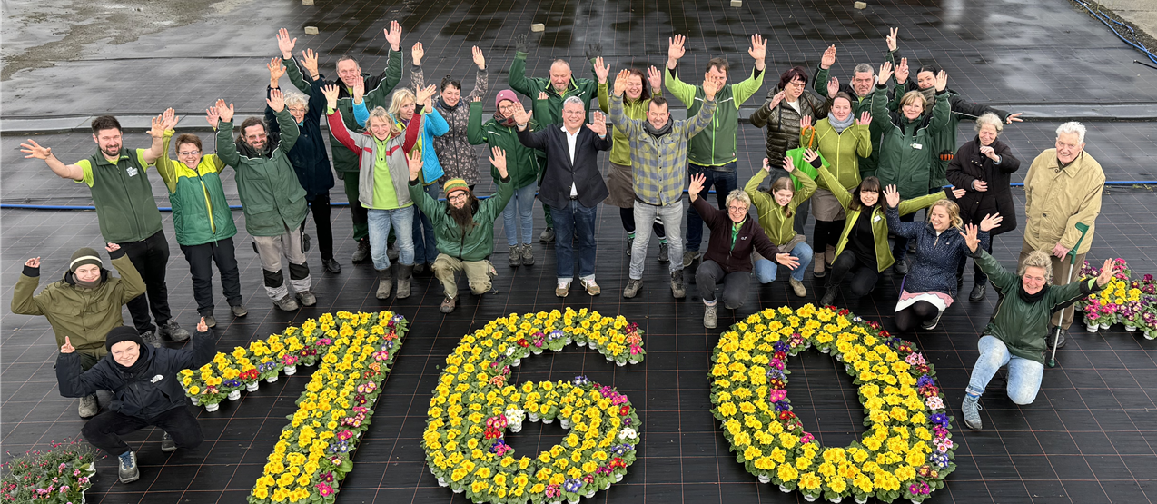 das - TEAM das - TEAM