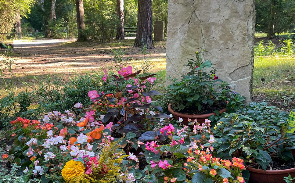 Unsere Leistungen - im Überblick