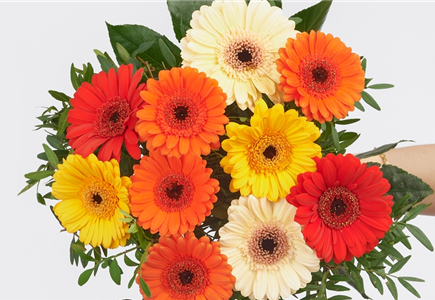 Strauß der Woche Strauß der Woche