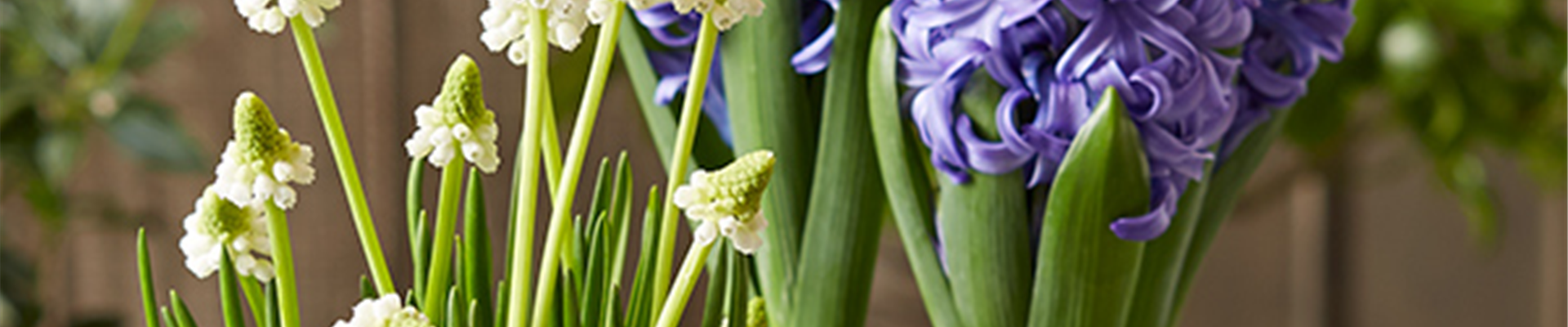 HALLO FRüHLING!