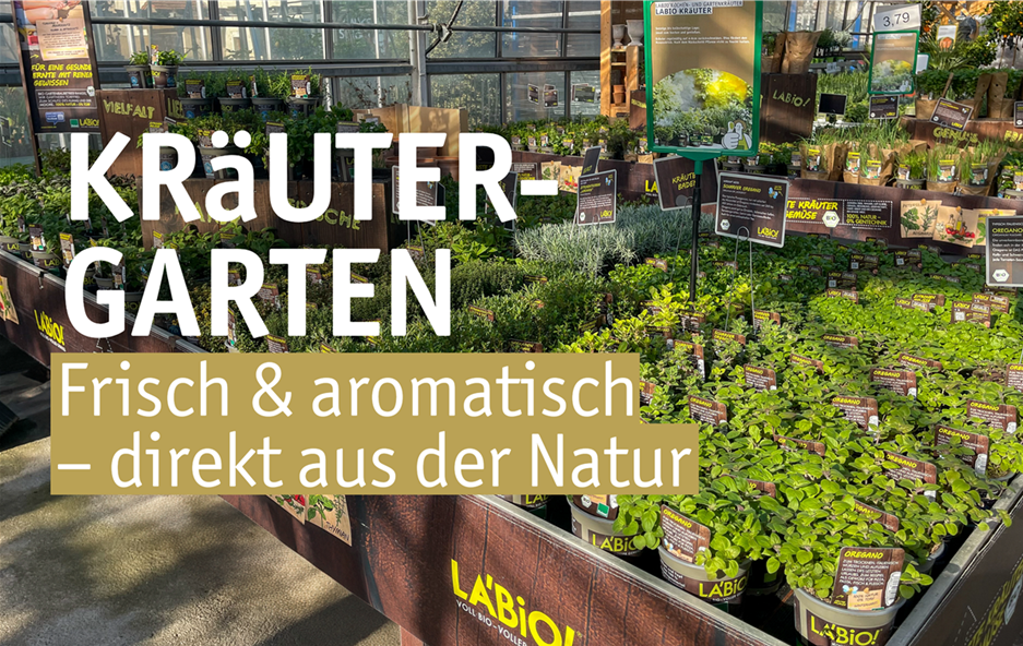 Aktuelles Website-5-Kräuter .png