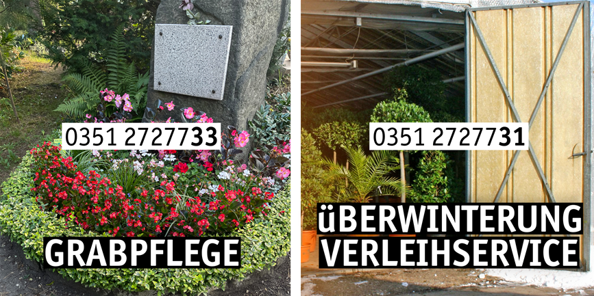 Direktdurchwahl-3-Grabpflege Überwinterung.png