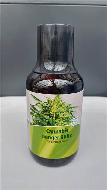 Braun RL Cannabis Dnger Blte