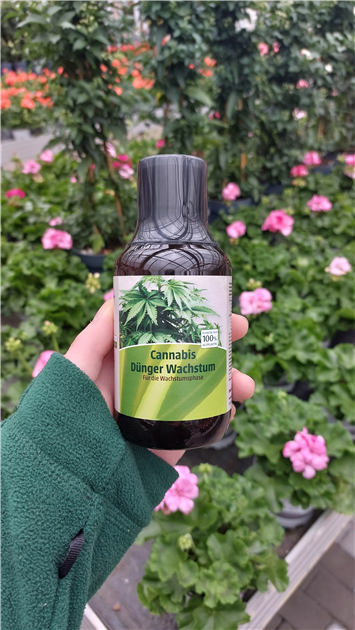 Braun RL Cannabis Dnger Wachstum