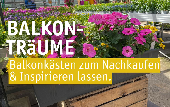 Aktuelles Website-8-Balkonkasten.jpeg