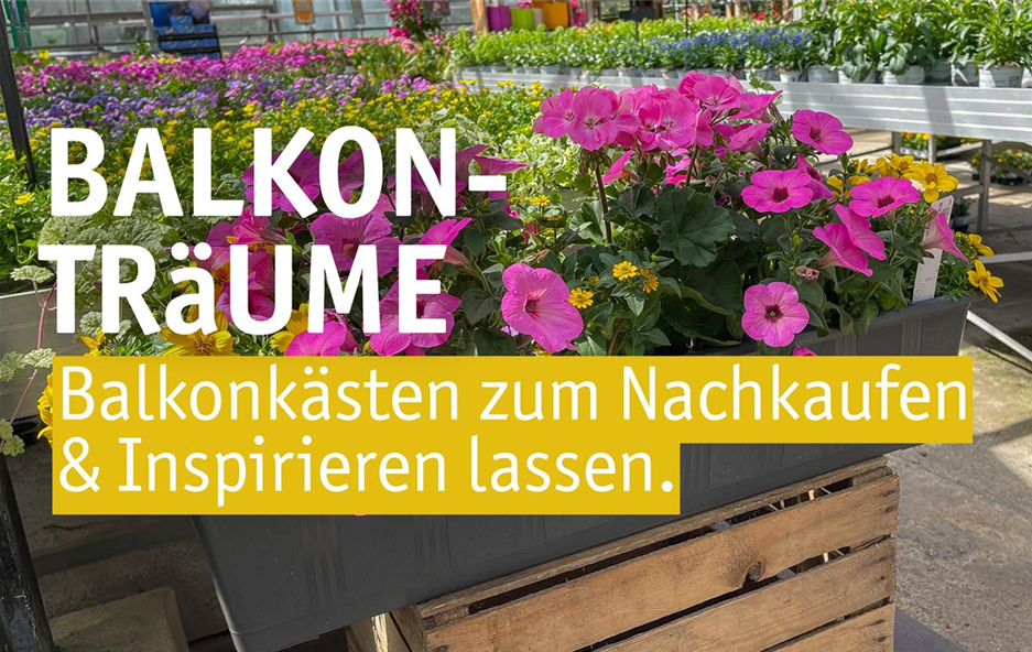 Aktuelles Website-8-Balkonkasten.jpeg