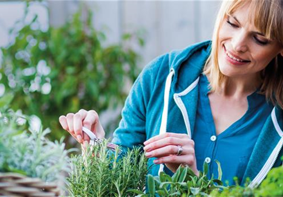 FRISCHE VIELFALT! FRISCHE VIELFALT!