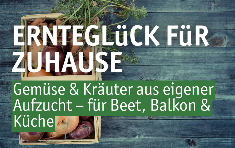 Titelbild Newsletter Gemüse und Kräuter.jpeg