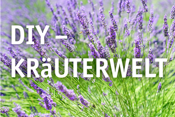 DIY-Kräuterwelt