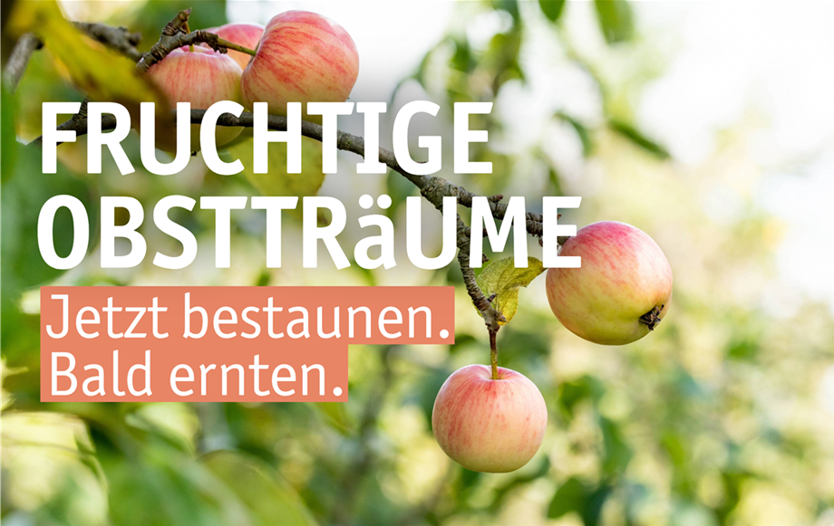 Aktuelles Website-13-Obstgehölze.png