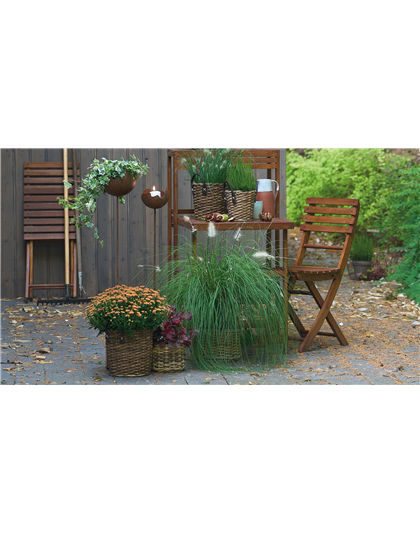 WARME FARBEN, STARKE WIRKUNG! WARME FARBEN, STARKE WIRKUNG!