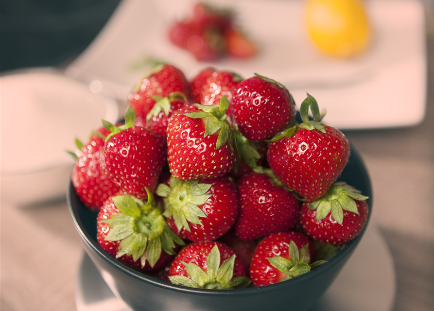 Erdbeeren vers. Sorten