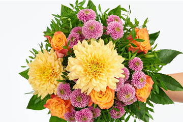 Strauss der Woche Strauss der Woche