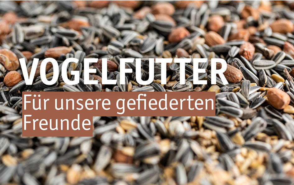 Aktuelles Website-18-Vogelfutter.png