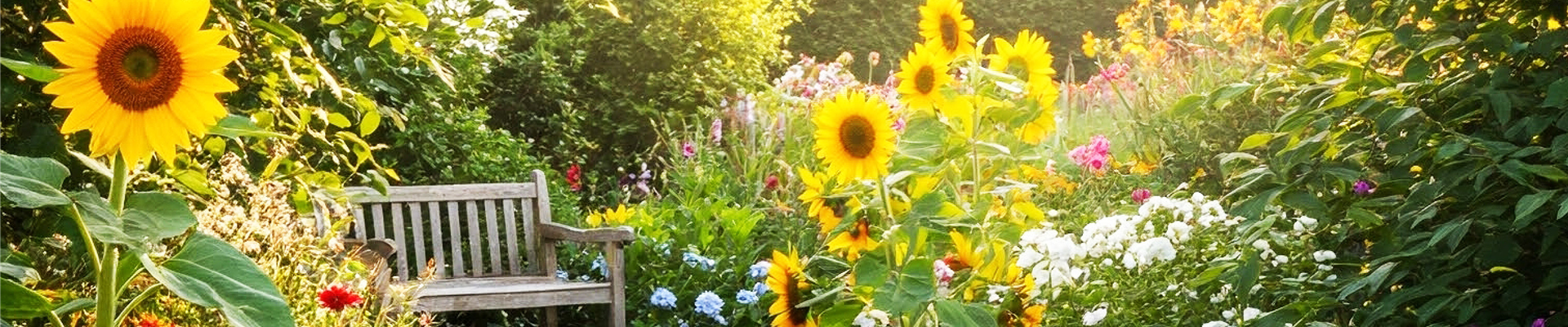 Buch des Monats: Februar!