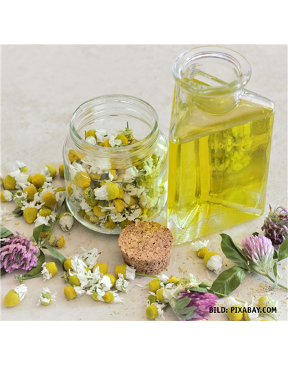 26.03 Öle, Salben und Tinkturen für die Hausapotheke 