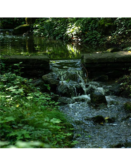 28.08 Kräuterwanderung im Gebergrund