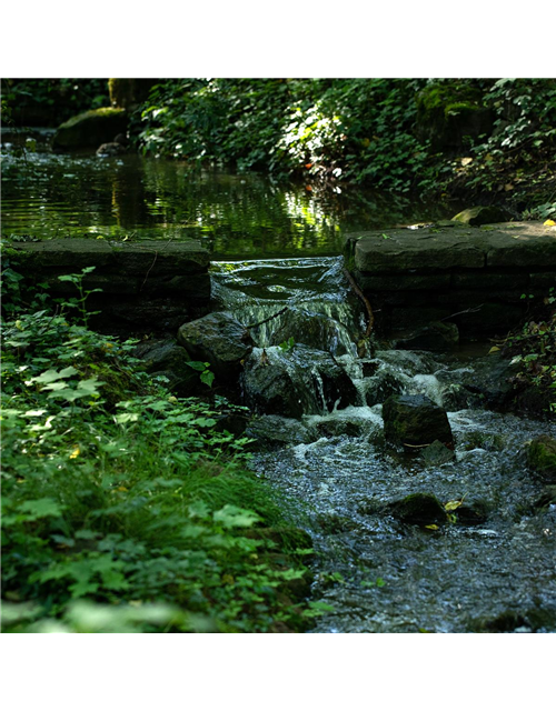28.08. Kräuterwanderung im Gebergrund