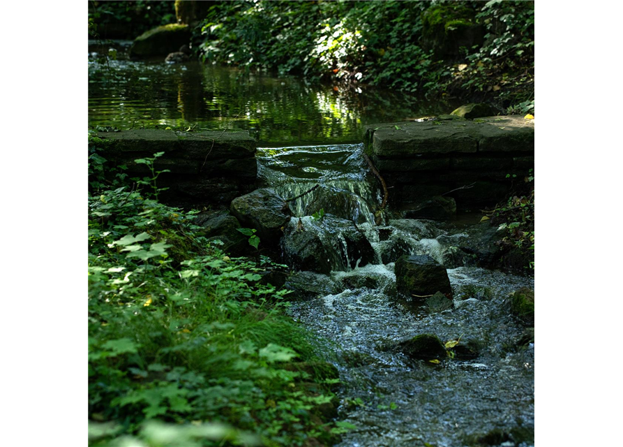 28.08. Kräuterwanderung im Gebergrund
