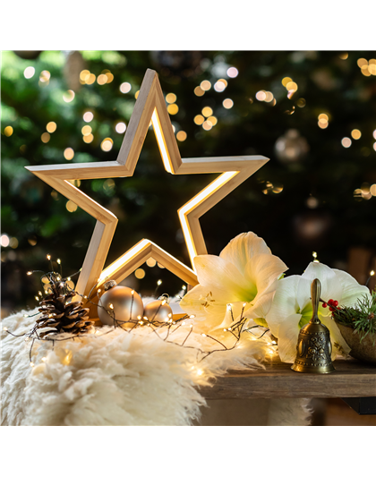 21.11. Sternenzauber - 1. Adventsschau 