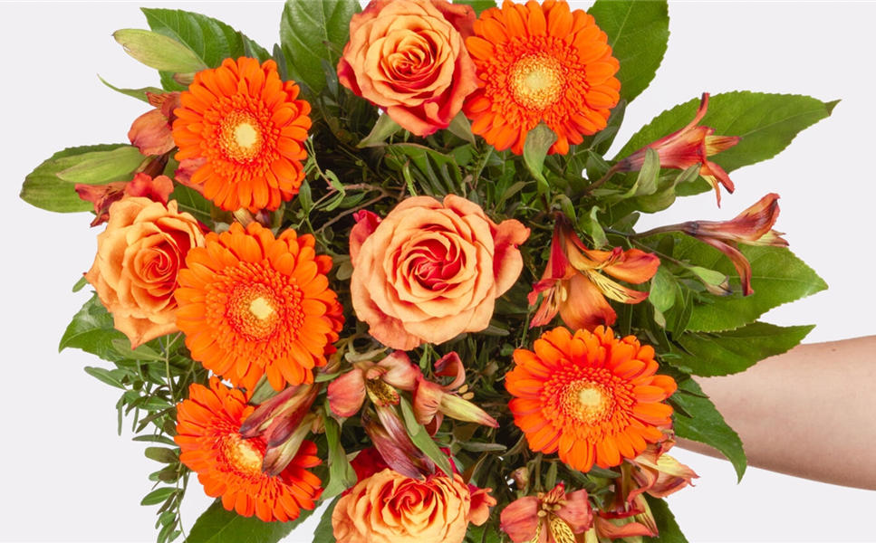 Jede Woche ein neues florales Meisterwerk! - STRAUSS DER WOCHE