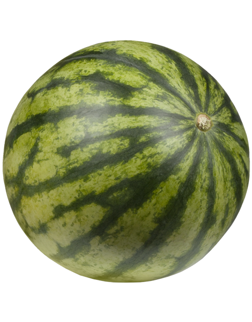 Wassermelone 