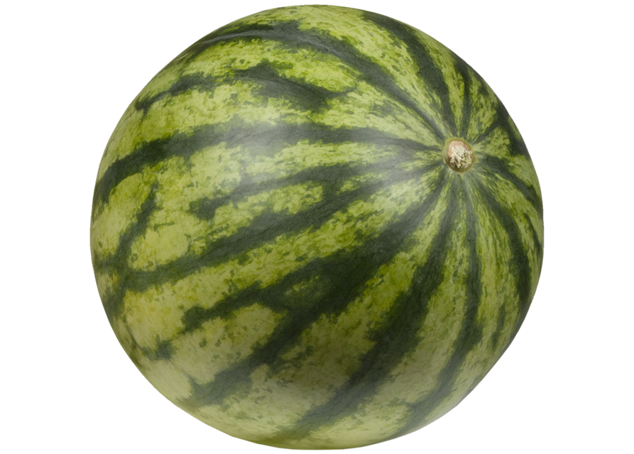 Wassermelone 