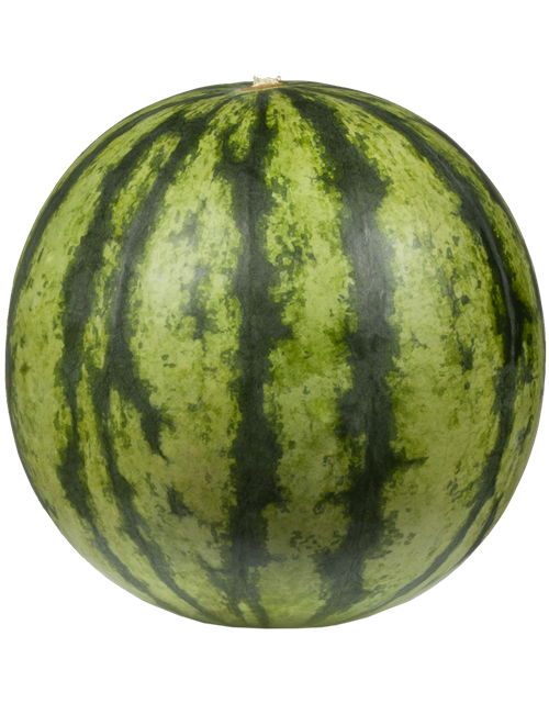 Wassermelone 
