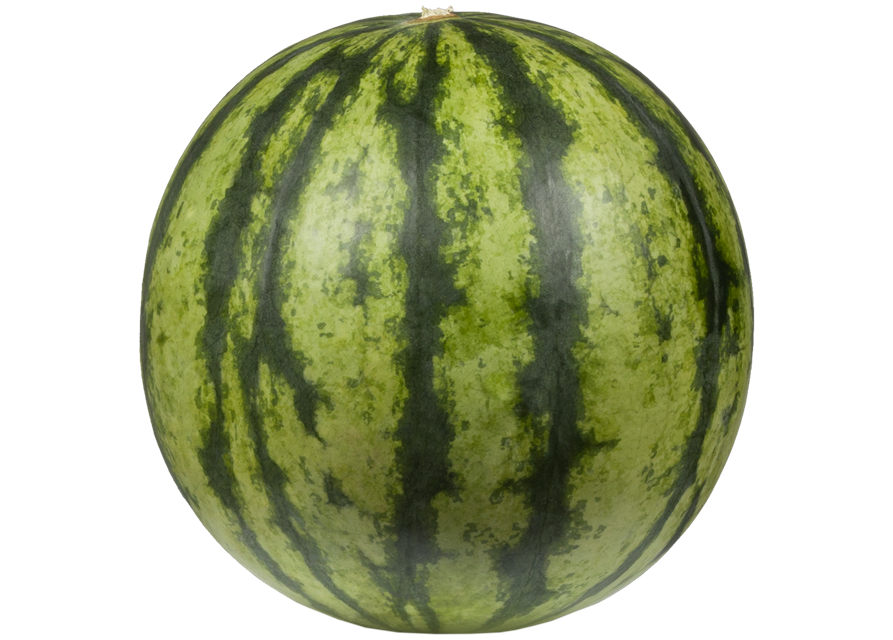 Wassermelone 