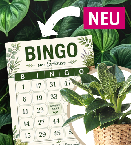 12.09. Bingo Event