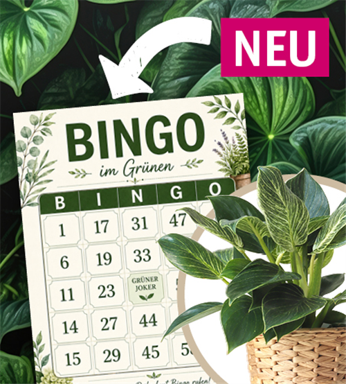 12.09. Bingo Event