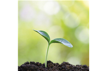 GENUSSGARTEN! GENUSSGARTEN!