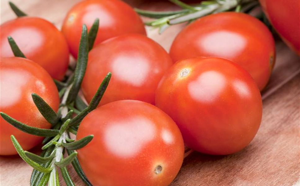 Nutzgarten - Leckereien aus dem Garten!