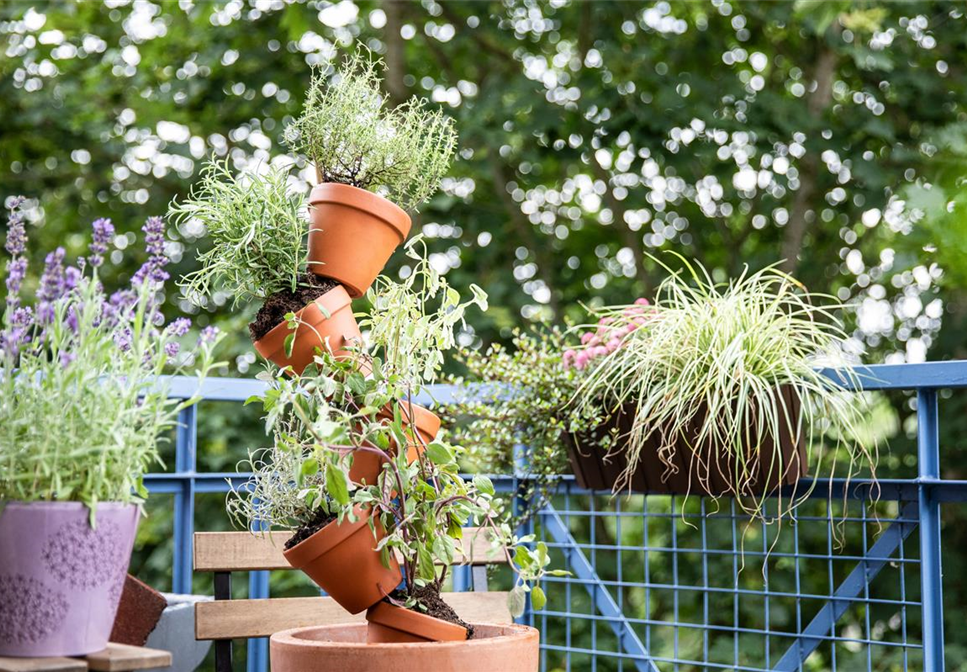 HEILKRäUTER FüR DIE GESUNDHEIT HEILKRäUTER FüR DIE GESUNDHEIT