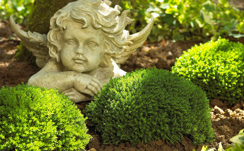 Dauergrabpflege - Was ist eine Dauergrabpflege? Dauergrabpflege - Was ist eine Dauergrabpflege?