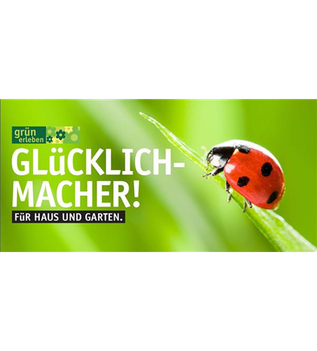 Online Gutschein