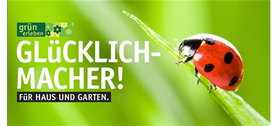 Online Gutschein