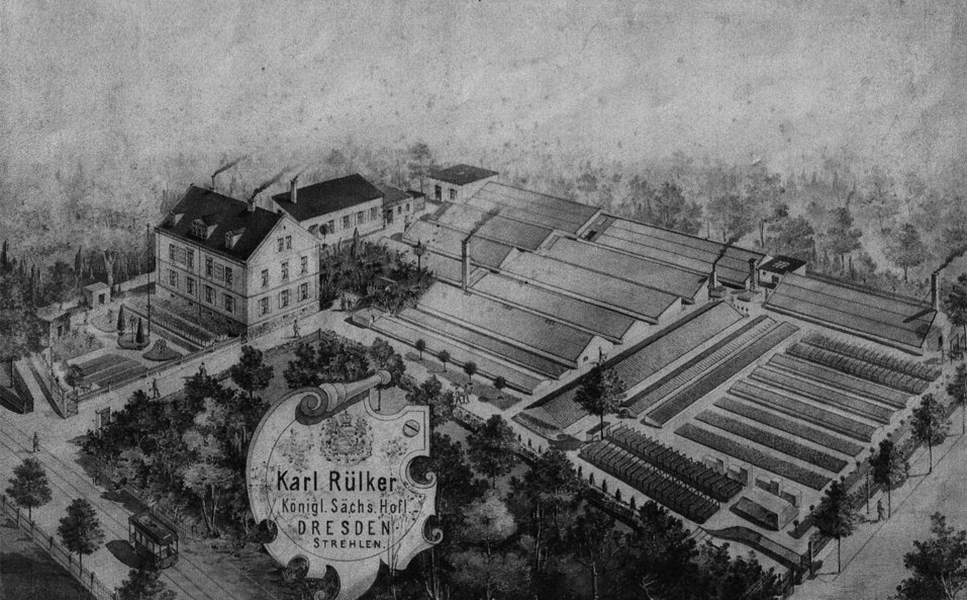 DRESDNER SEIT 1864 - VERWURZELT IN DRESDEN-STREHLEN