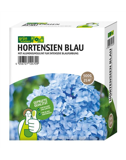 Grün erleben Hortensien Blau 