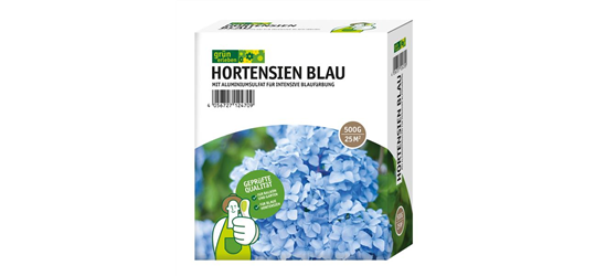 Grün erleben Hortensien Blau 